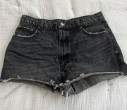 High Waisted Shorts