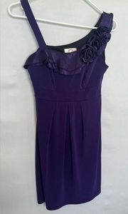 Sweet Storm Purple Dress | Size Small