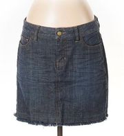 The Limited Denim Frayed Skirt