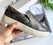 NEW  Metallic Pewter Acer Slip On Sneakers