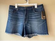 Frye Vintage Fit Jean Short in Thundercloud Wash Size 16