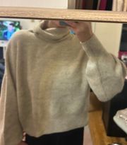 Tan Turtleneck Sweater