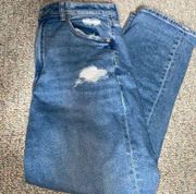 American Eagle Mom Style Jeans