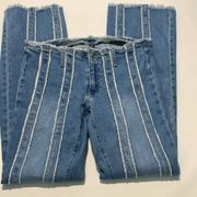 Wild Fable 70s Style Low Rise Flare Jean Size 8