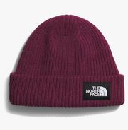 Salty Dog Lined Beanie NWT - Wine