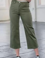 Tilly's RSQ olive wide leg cropped jeans size 9