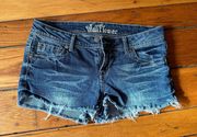 Wall Flower Wallflowers size 11 Jean shorts