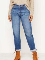 LOFT High Waist Boyfriend Jeans Women's Size 30