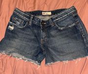 Buckle  Denim Shorts