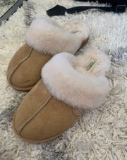 slippers 