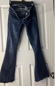 American Eagle Outfitters Low Waisted Jeans