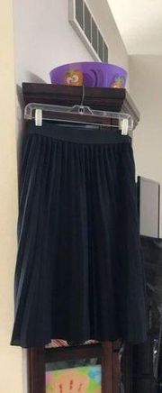 Worthington Pleated Skirt Size Large