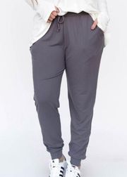 NWT Agnes & Dora Charcoal Classic Baby Suede Jogger | Grey | Small