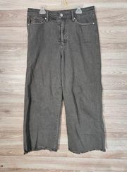 High Waist Fray Hem Crop Wide Leg Green Jeans Size 9/29