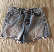 High Waisted Denim Shorts