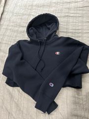 Champion Cropped Hoodie