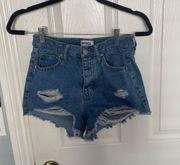 RSQ Vintage High Rise Ripped Denim Shorts