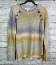 Market and Spruce Crew Neck Ombre Knit Sweater Size XL