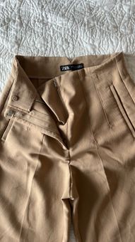 Zara Trouser