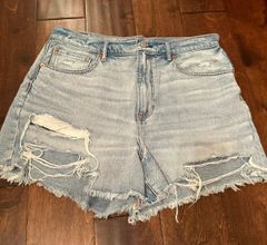 Outfitters Denim Shorts