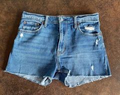 The Mom High Rise Cut-Off Jean Shorts / Size 28/6