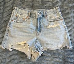 Outfitters Denim Shorts