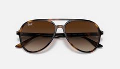 Polished Havana Sunglasses 