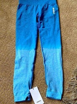 NWT Gymshark Adapt Ombre Seamless Leggings  Seamless leggings, Ombre  leggings, Leggings