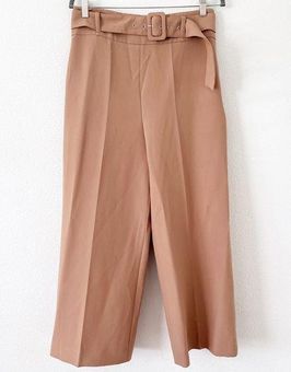 ZARA Belted Pants  Belted pants, High waisted pants, Pants