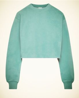 Aritzia NEW TNA Cozy Fleece Cropped Boyfriend Sweatshirt 1