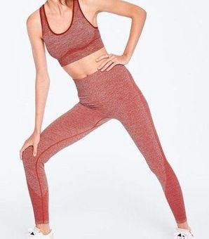 Victoria's Secret Pink Seamless Leggings  Seamless leggings, Secret pink,  Leggings shop