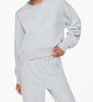 Aritzia TNA Cozy Fleece Boyfriend Boxy Cropped Crewneck Gray