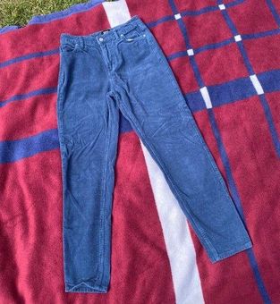 Urban Outfitters BDG Mom High Rise Corduroy Pants Blue Women Size