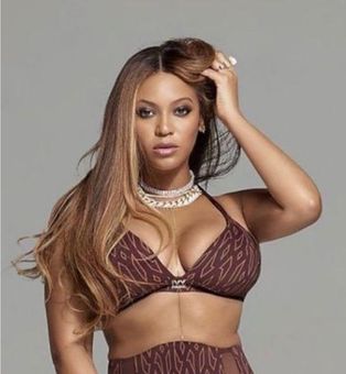 Ivy Park Beyoncé x ADIDAS Low Support Triangle Sports Bra Wild