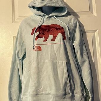 The north face bearscape on sale hoodie