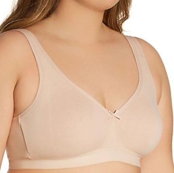 Fruit of the Loom Women's Plus Size Wireless Cotton Bra 