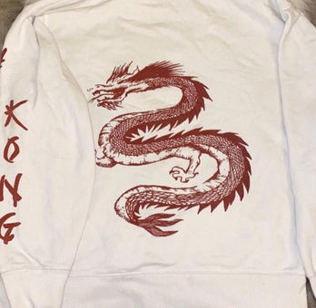 brandy melville dragon hoodie