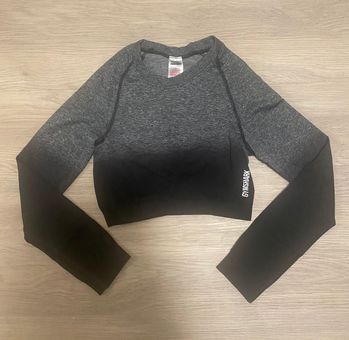 Adapt Ombre Crop Top