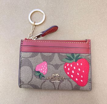 Whats in my Mini Skinny Id Case In Signature Canvas / Whats in my Coach  wallet! 