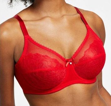 Retro Chic Full Figure Underwire Bra