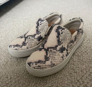 Steve Madden Snake Skin Slip On Shoes 
