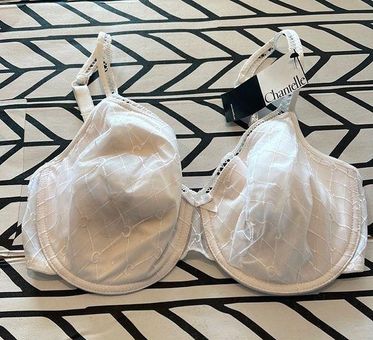 Chantelle Graphie Bra in white NWT 34DDD Size undefined - $33 New With Tags  - From Jean