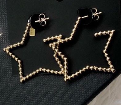 coach star earrings