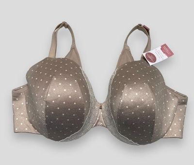 Cacique 42D Invisible Backsmoother Collection Taupe Polka Dot