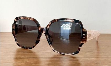 Dior Lady Dior Studs Sunglasses in Brown