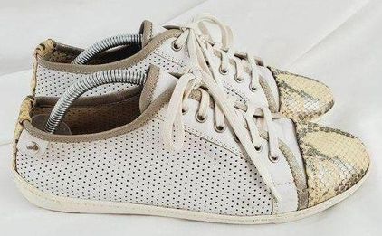 Agl Attilio Giusti Leombruni Snake Skin Leather Lace up Shoes