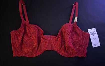 Gilly Hicks, Intimates & Sleepwear, Gilly Hicks Bra Pink And Red
