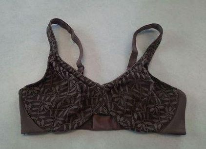 Olga 35519 Sheer Leaves Lace Minimizer Bra Underwire Brown Lace