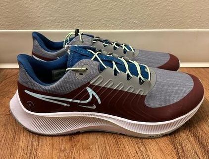 W air zoom pegasus 38 shield