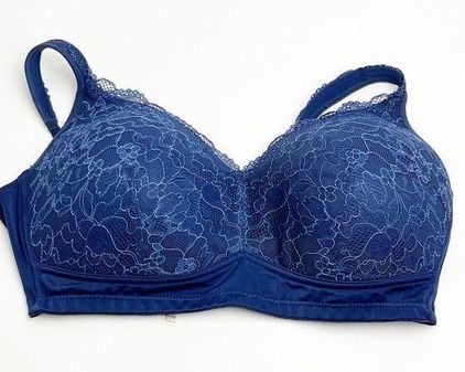 Rhonda Shear Blue Bras